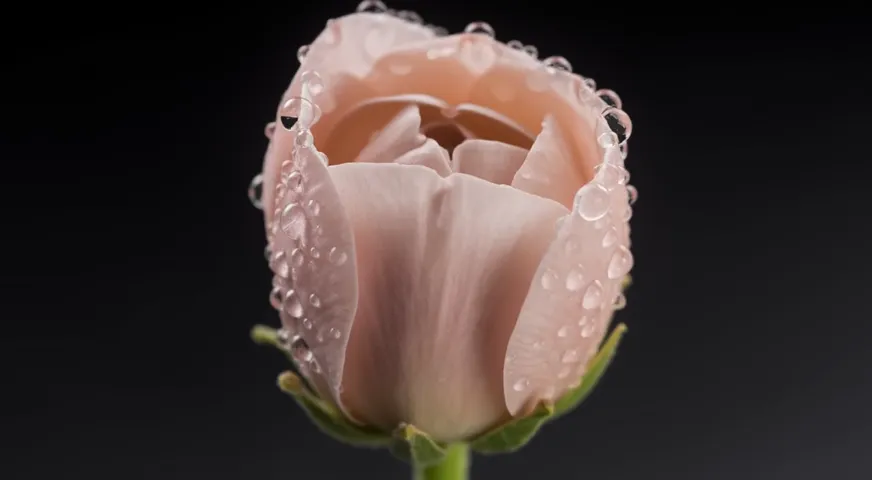FLUX 3 Video